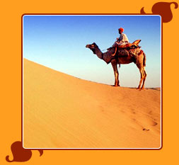 Desert of Rajasthan