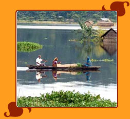 Kaziranga