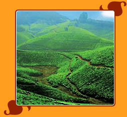 God's Own Country-Kerala