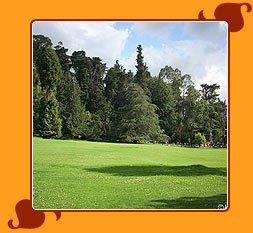  Ooty