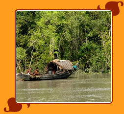 Sundarban