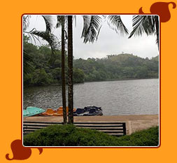 Wayanad